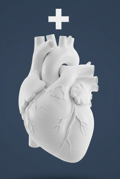 Your Heart